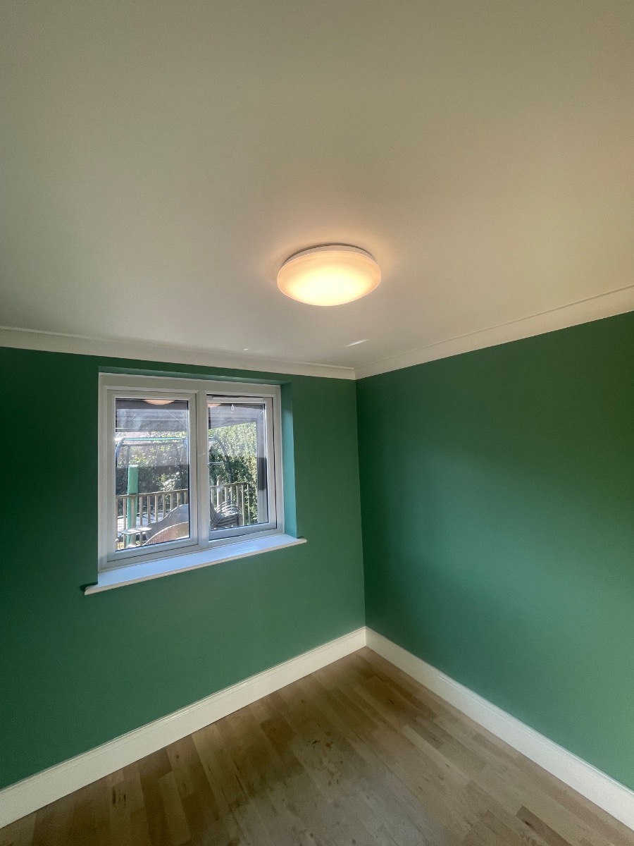 Painter and Decorator: Image 4